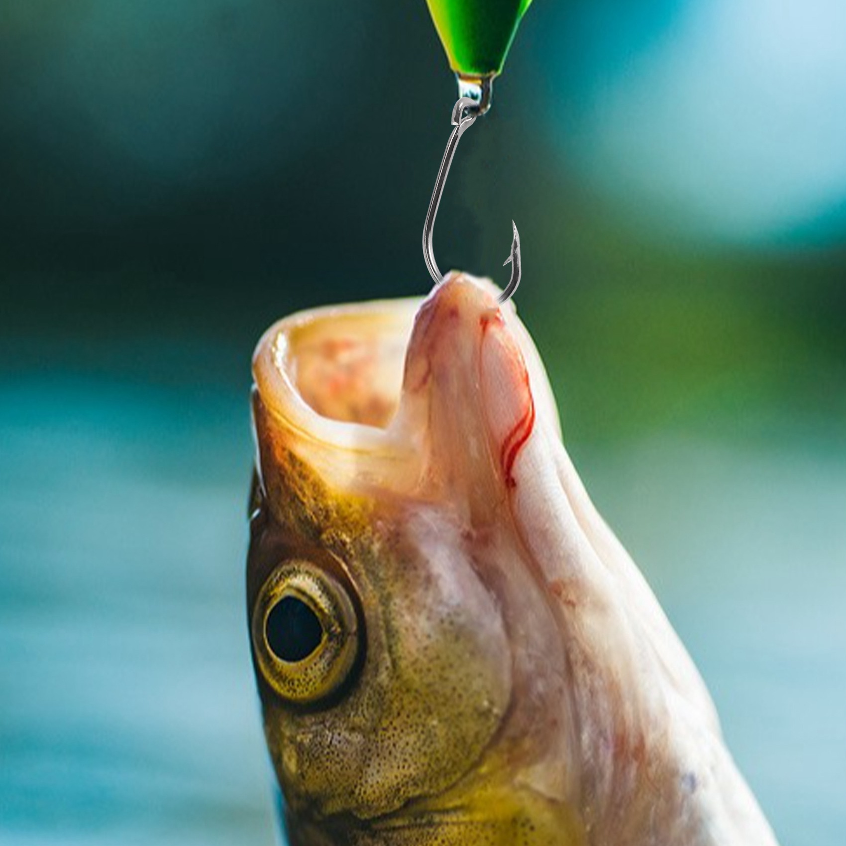 New arrival  500Pcs/Set Mixed  - Fishing Hook Box review and price